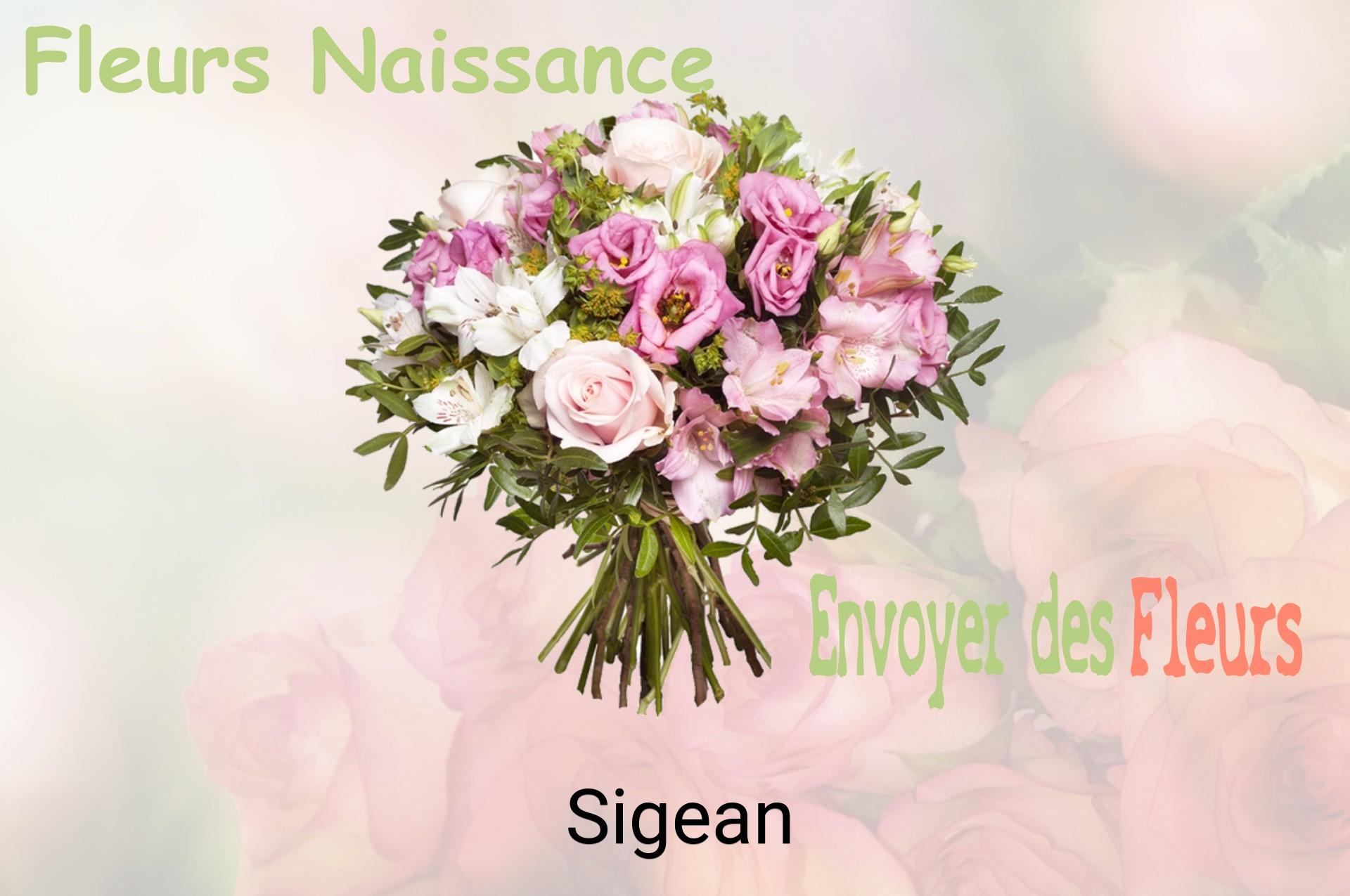 Bouquet de fleurs de naissance livré à Sigean
